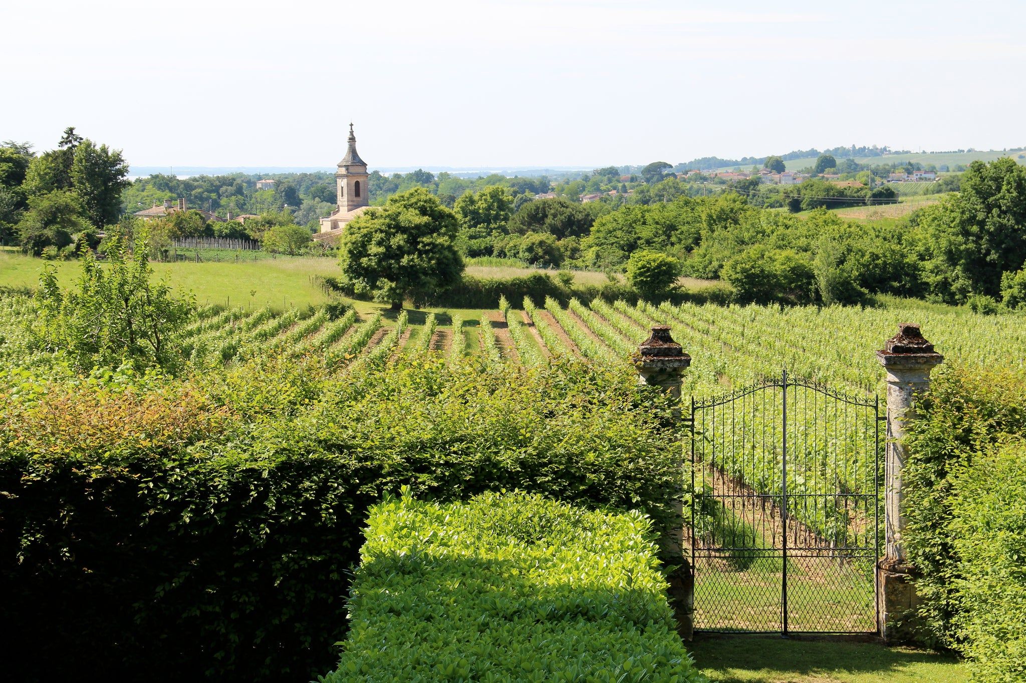 Château Puy Descazeau - Côtes de Bourg