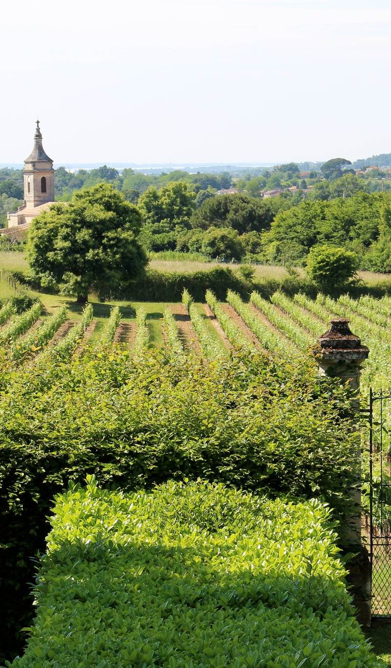 Château Puy Descazeau — photo principale
