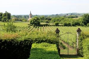 Château Puy Descazeau — photo 2