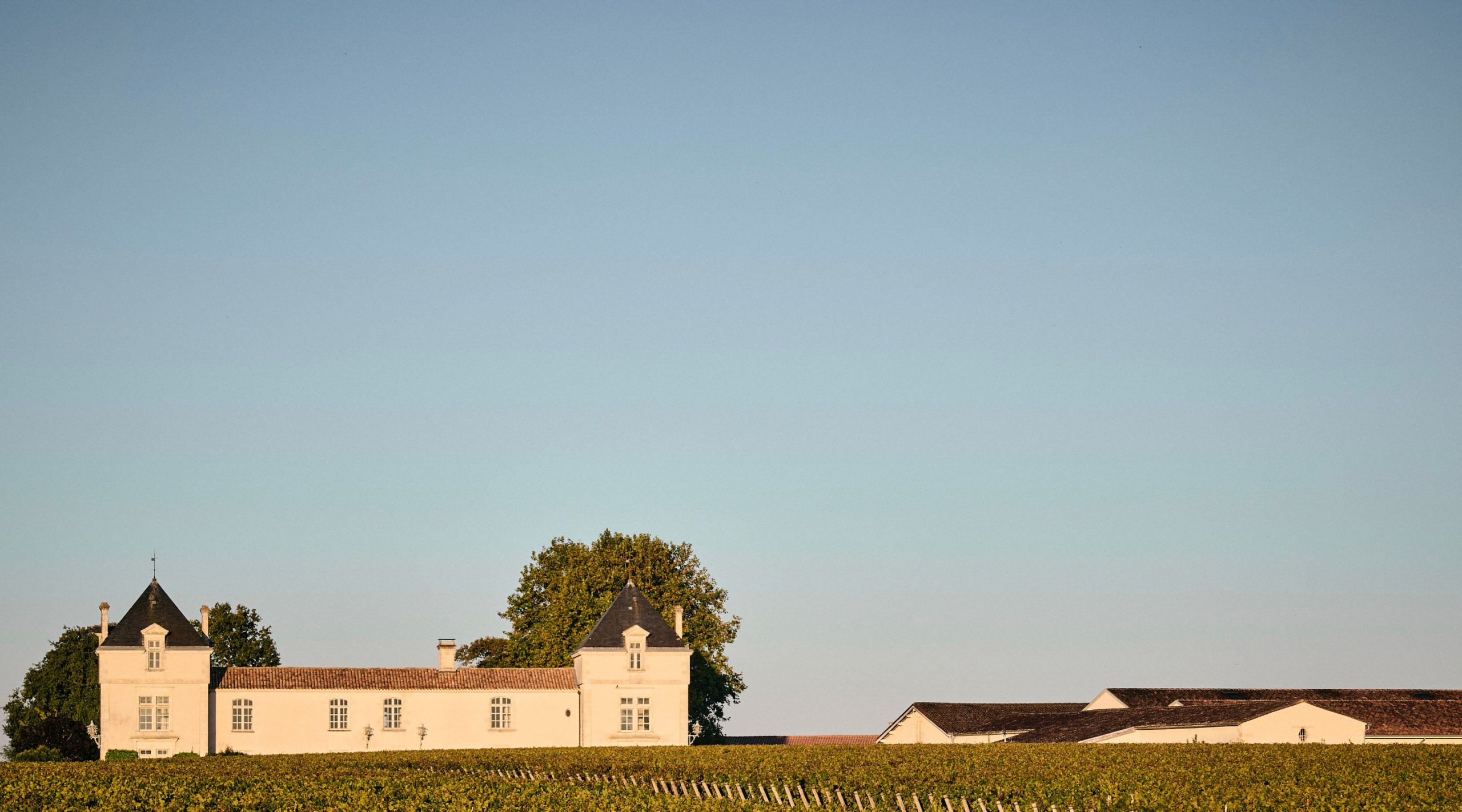Château de Pez — photo 2