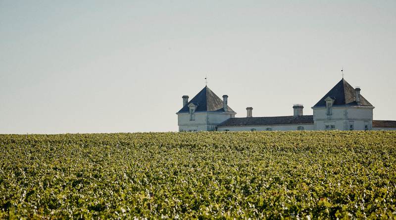 Château de Pez - Saint-Estèphe
