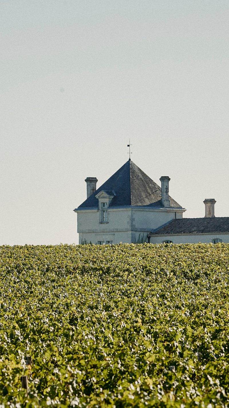 Château de Pez — photo principale