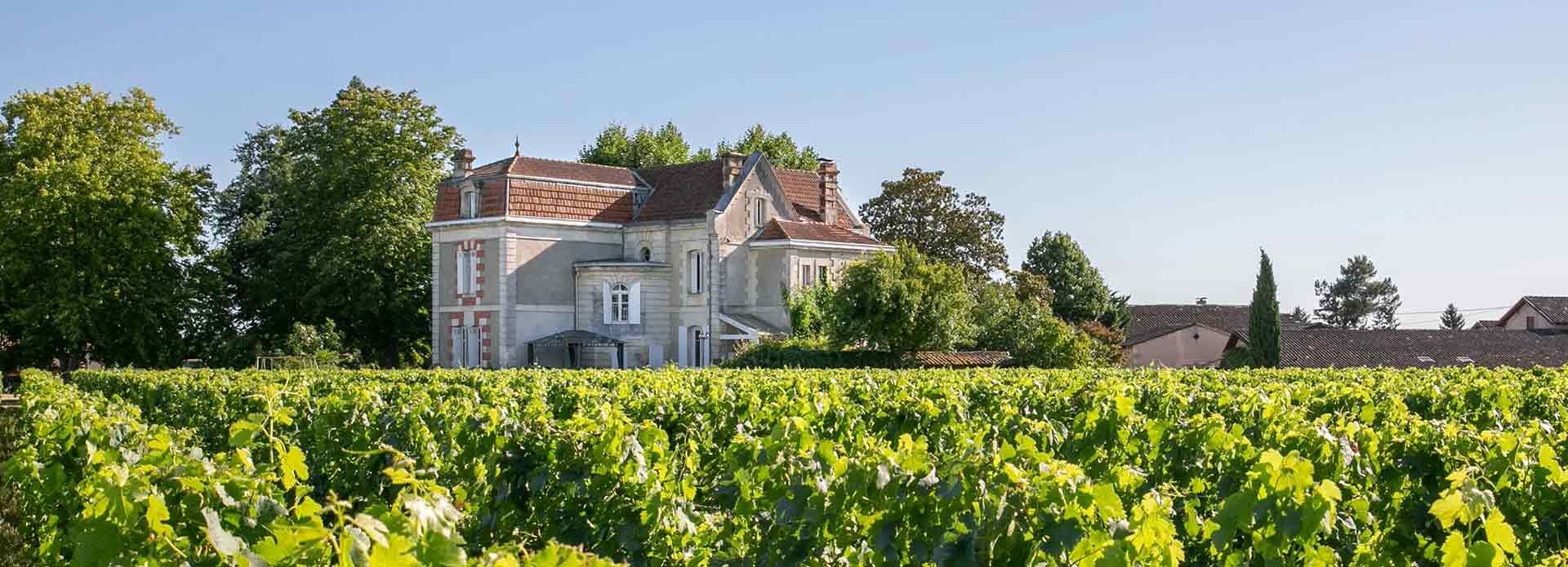 Château Cantenac - Saint-Émilion Grand Cru