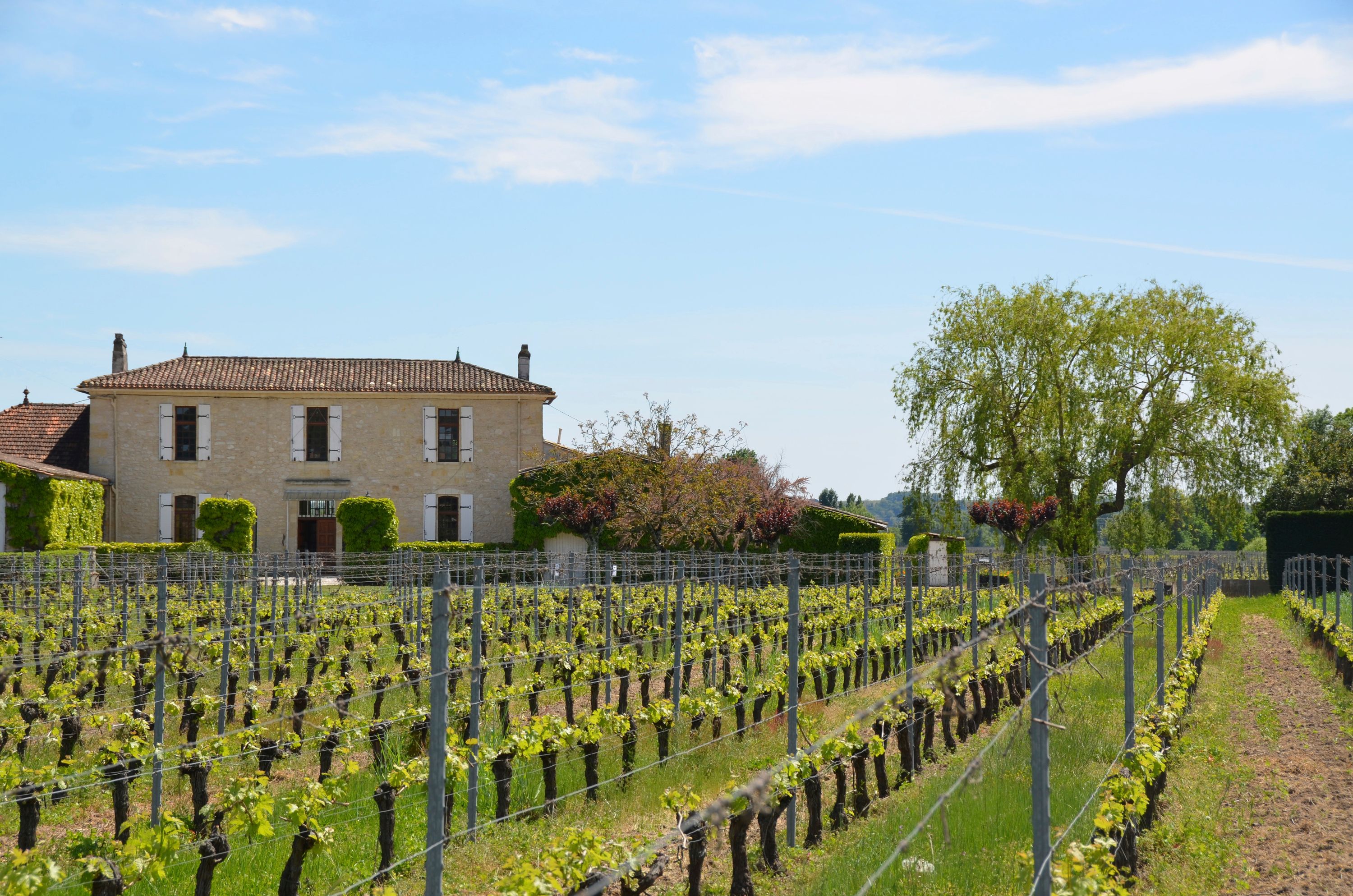 Château la Renommée