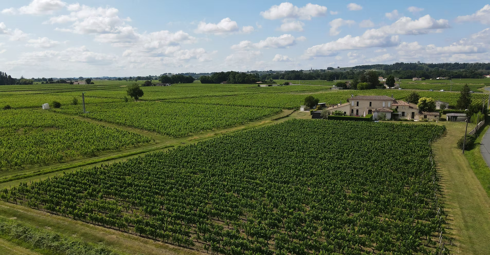 Château la Renommee — photo 10