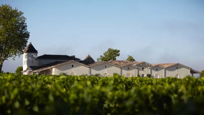 Clos des Jacobins — photo 7