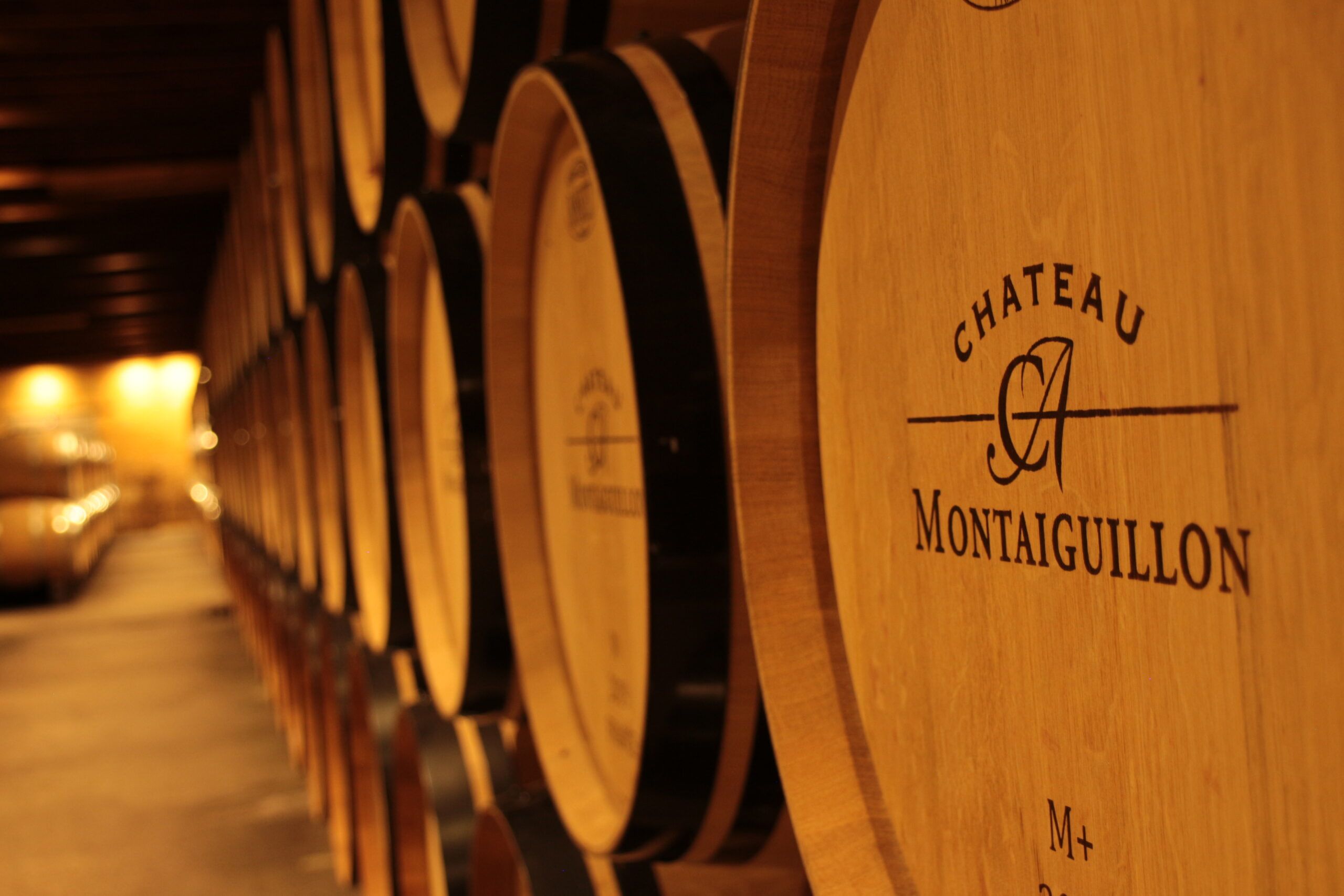 Château Montaiguillon - Montagne-Saint-Émilion