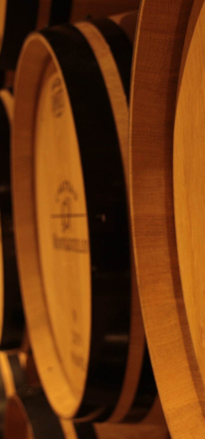 Château Montaiguillon — photo principale