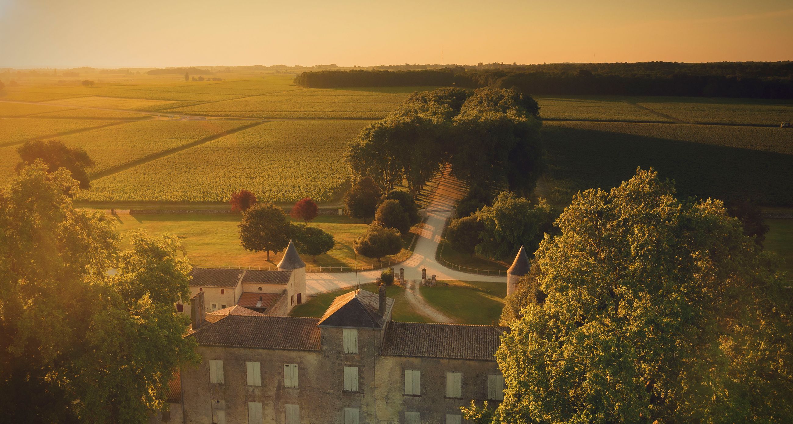 Château Tour Prignac - Médoc