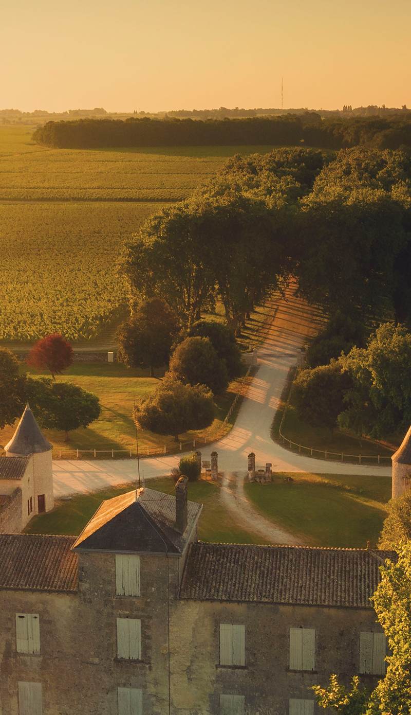 Domaine Tour prignac