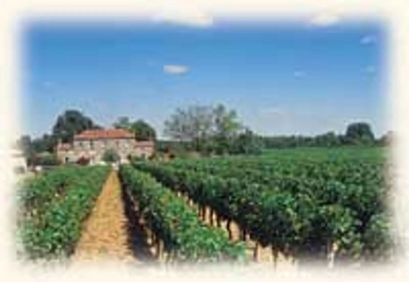 Château Tayat - Blaye Côtes de Bordeaux