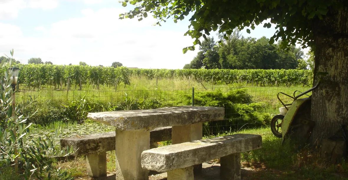 Clos Haut Mirande — photo 1