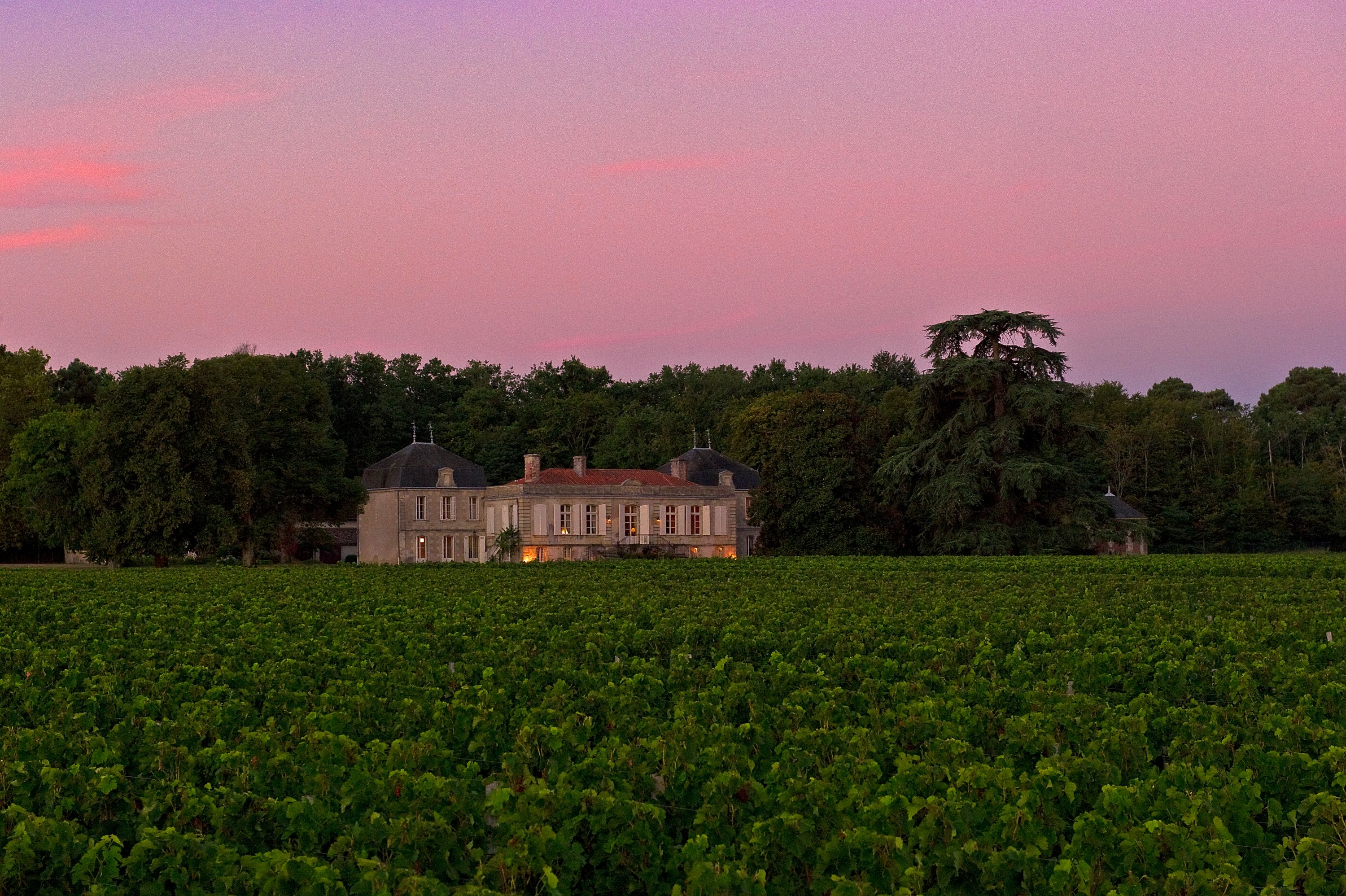 Château Picque Caillou - Pessac-Léognan