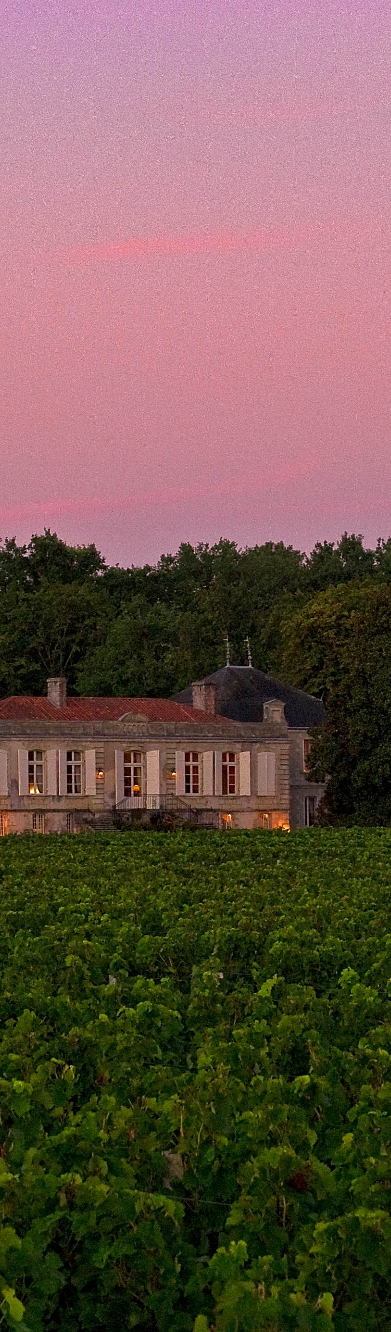 Château Picque Caillou - Pessac-Léognan