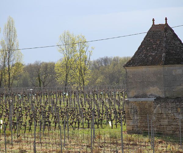 Château des Bruges à Saint Émilion