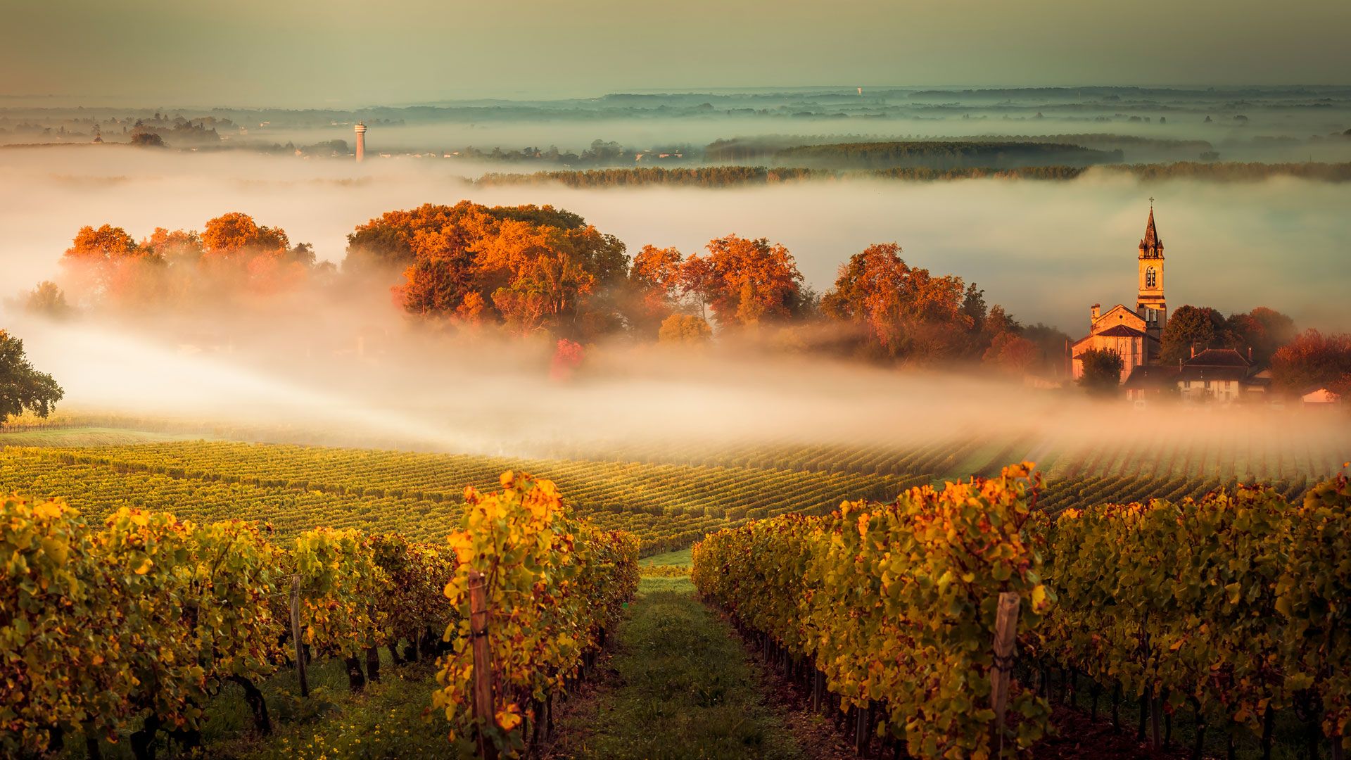 Château Faugas - Cadillac Côtes de Bordeaux