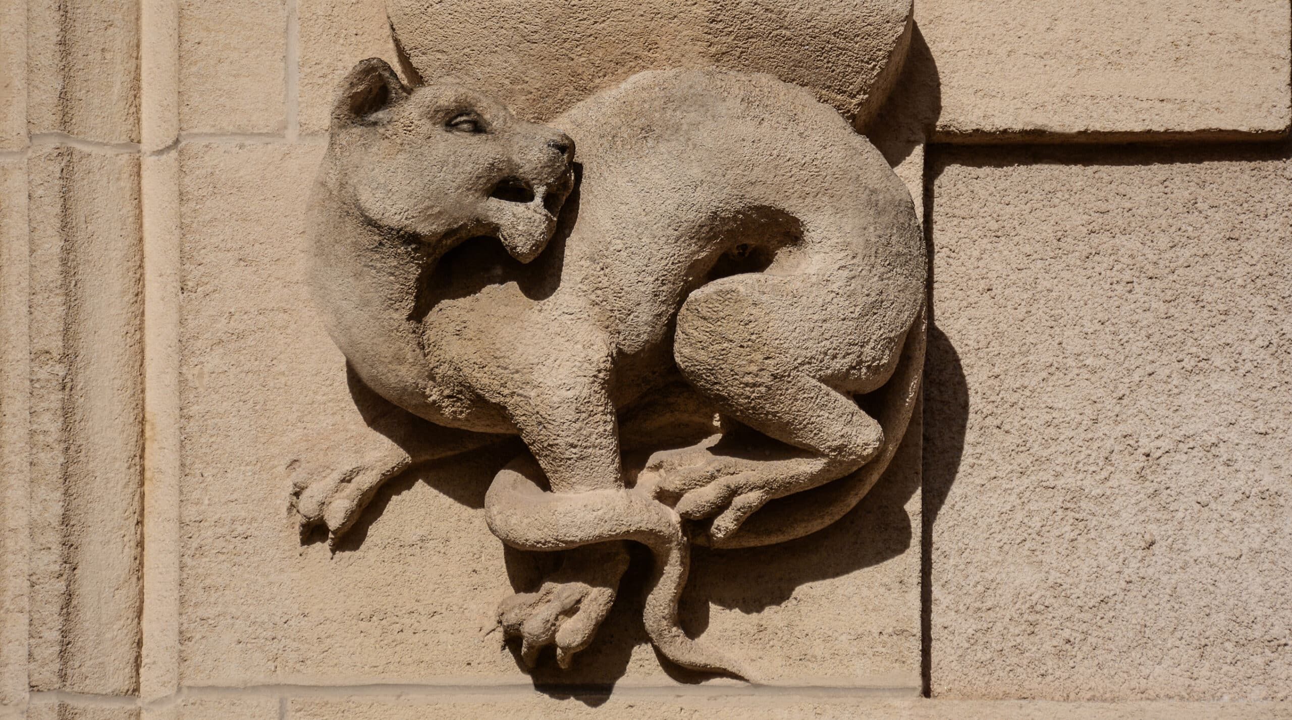 Château de Pressac — photo 3