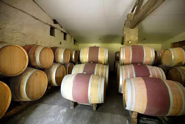 Château Saincrit — photo 3