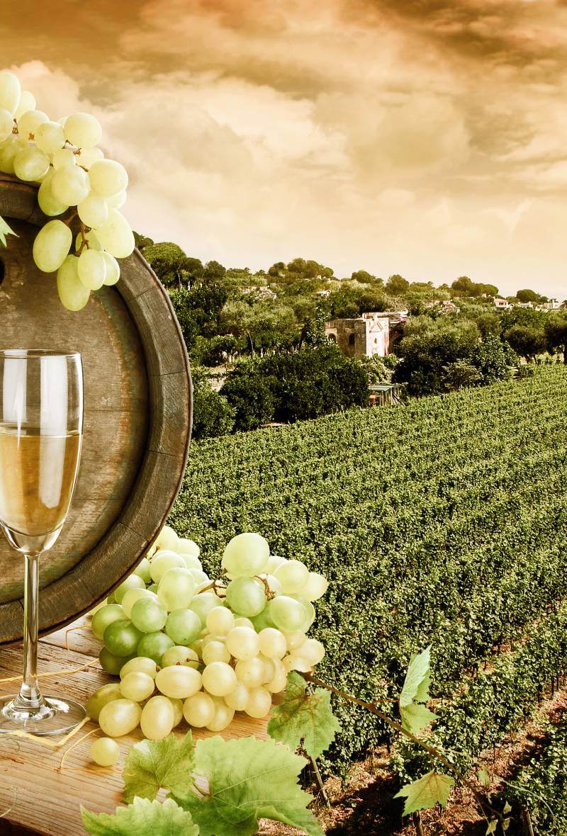 vente de vin au détail Blaye 33