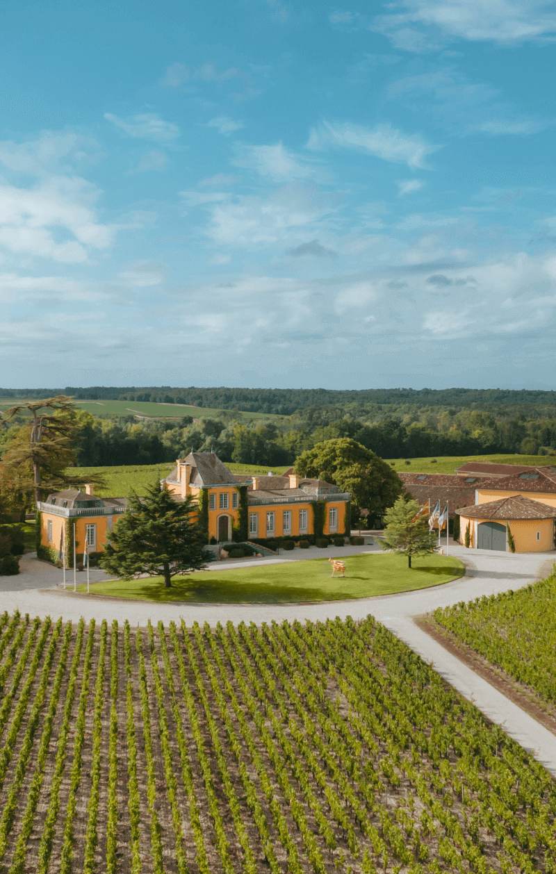 Château Lafon-Rochet - Saint-Estèphe