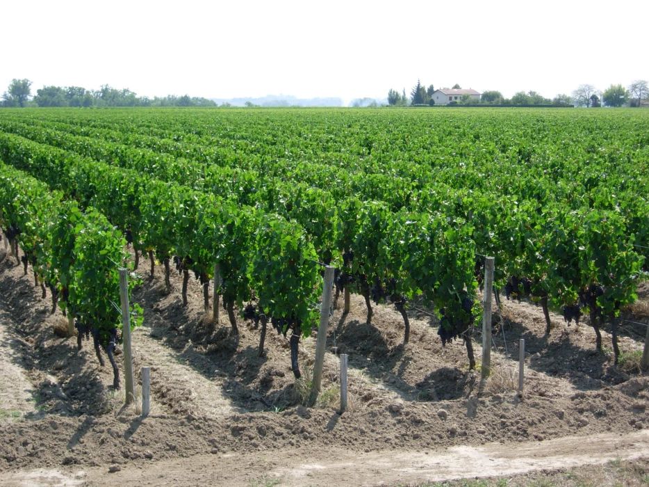 Image de diaporama