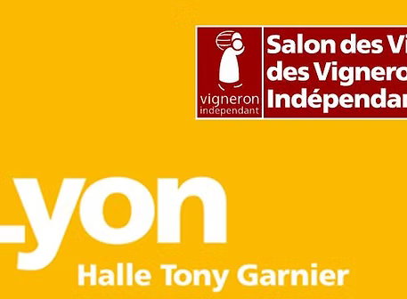 LYON_TonyGarnier2.jpg