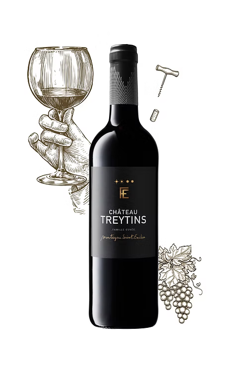 Château Treytins