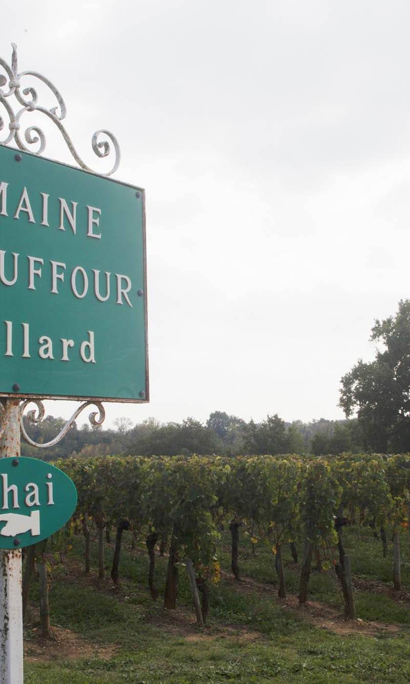 Domaine du Cauffour — photo principale