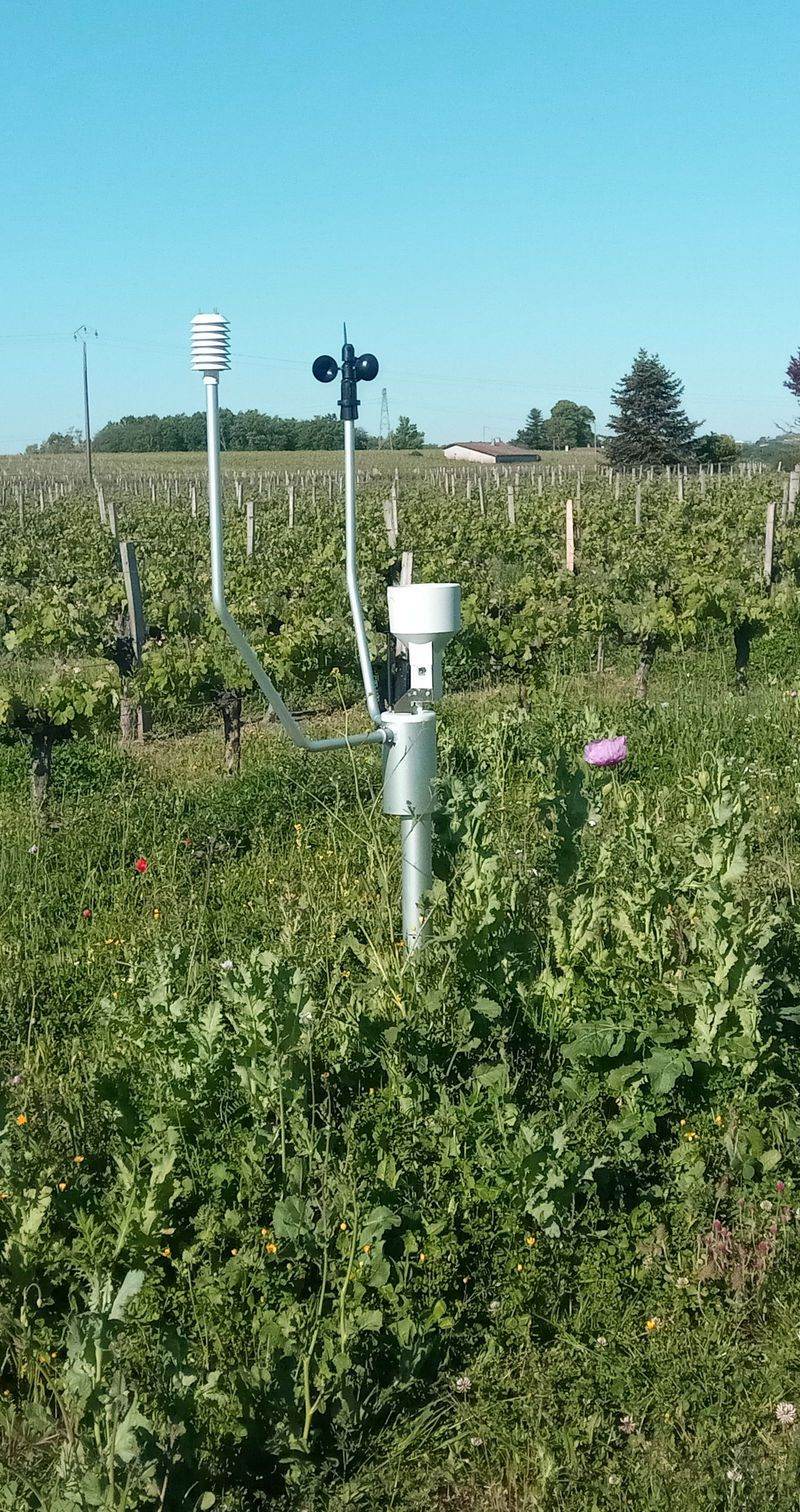 Station météo, Vignobles Dupuy, Château Labadie, Château Laroche Joubert