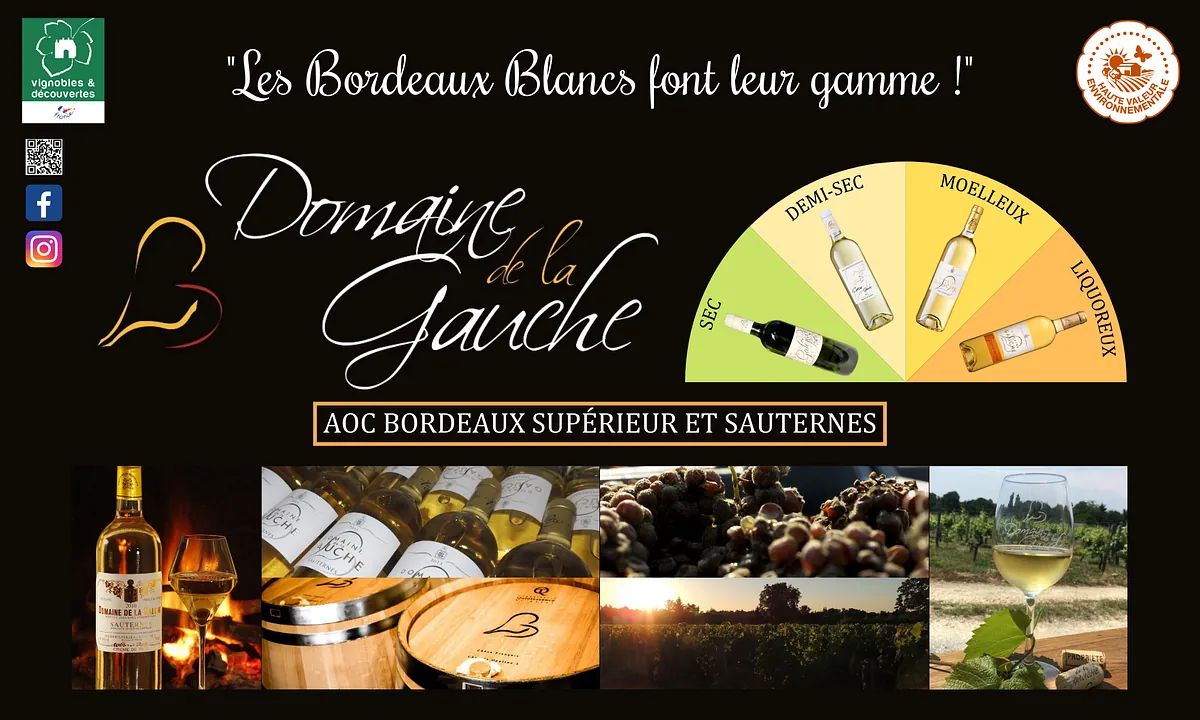 Domaine de la Gauche - Sauternes