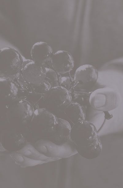 Château de Teste grappe de raisins monprimblanc