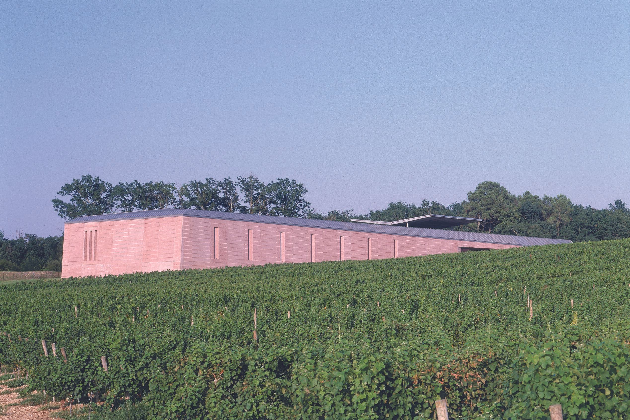 Château Haut Selve — photo 2