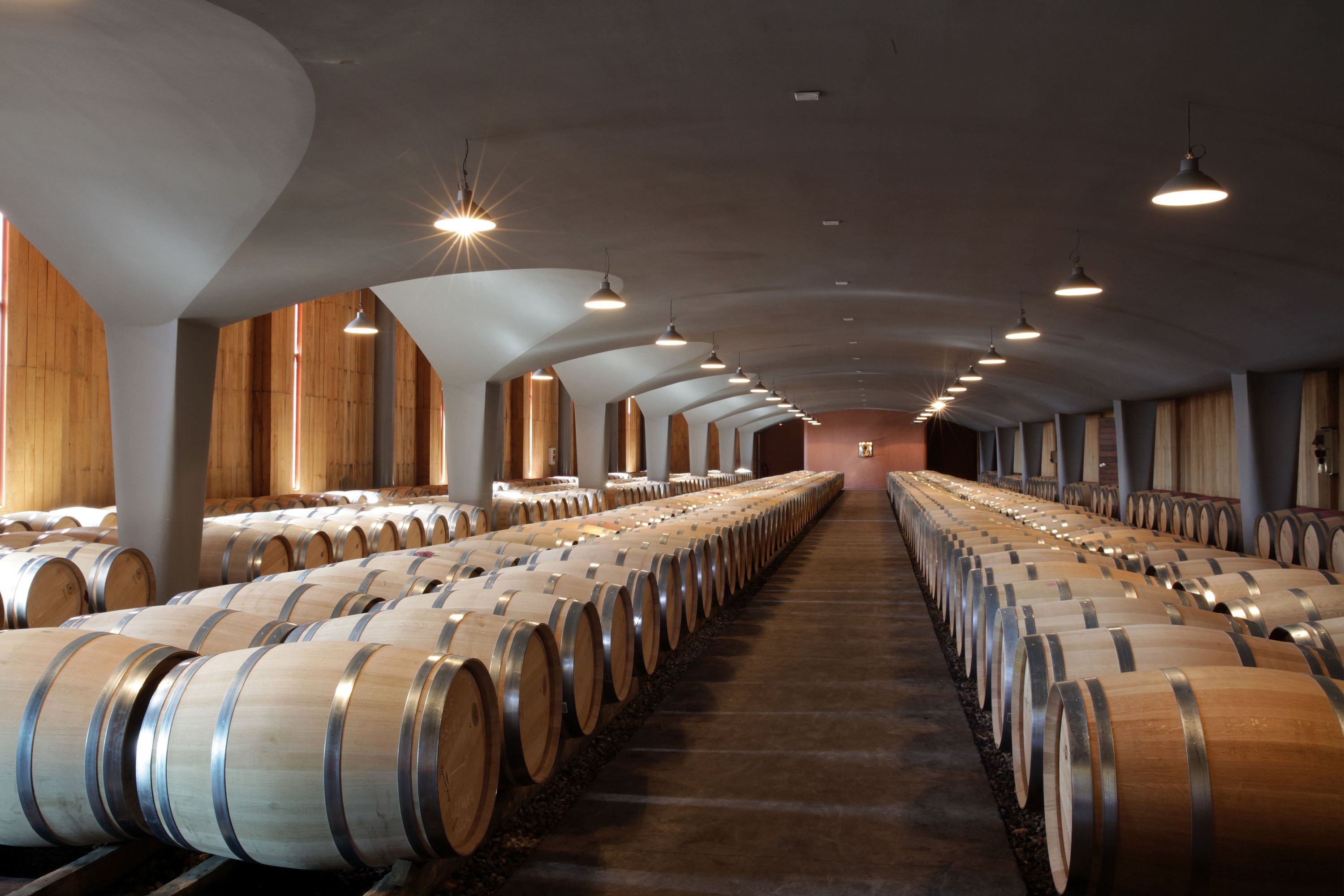 Château Haut Selve — photo 1
