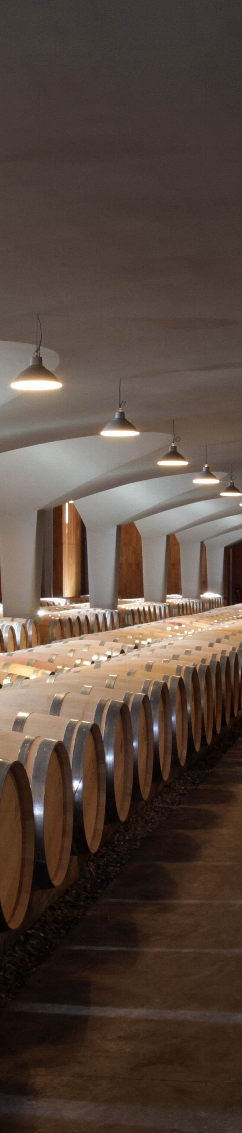 Château Haut Selve - Graves