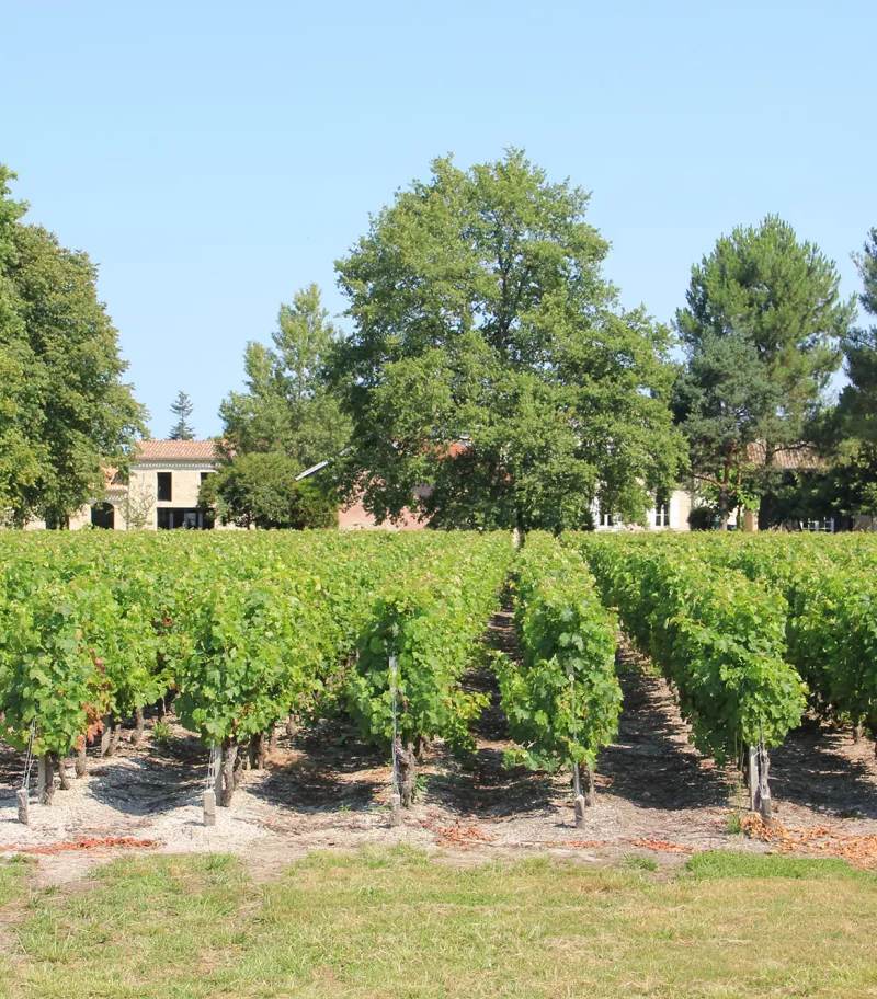 Château Baudan