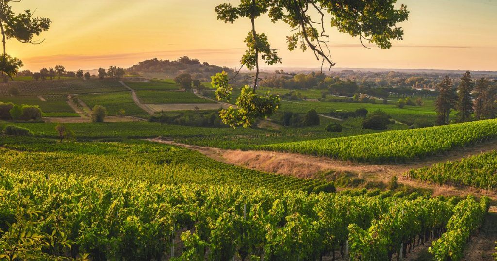 Château Pey Labrie - Canon-Fronsac