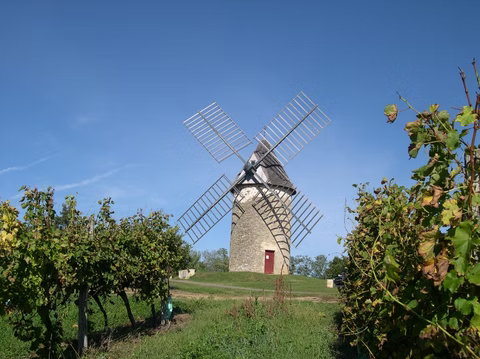 L'œnotourisme