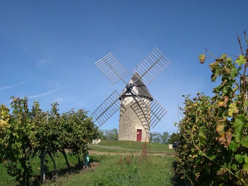 L'œnotourisme