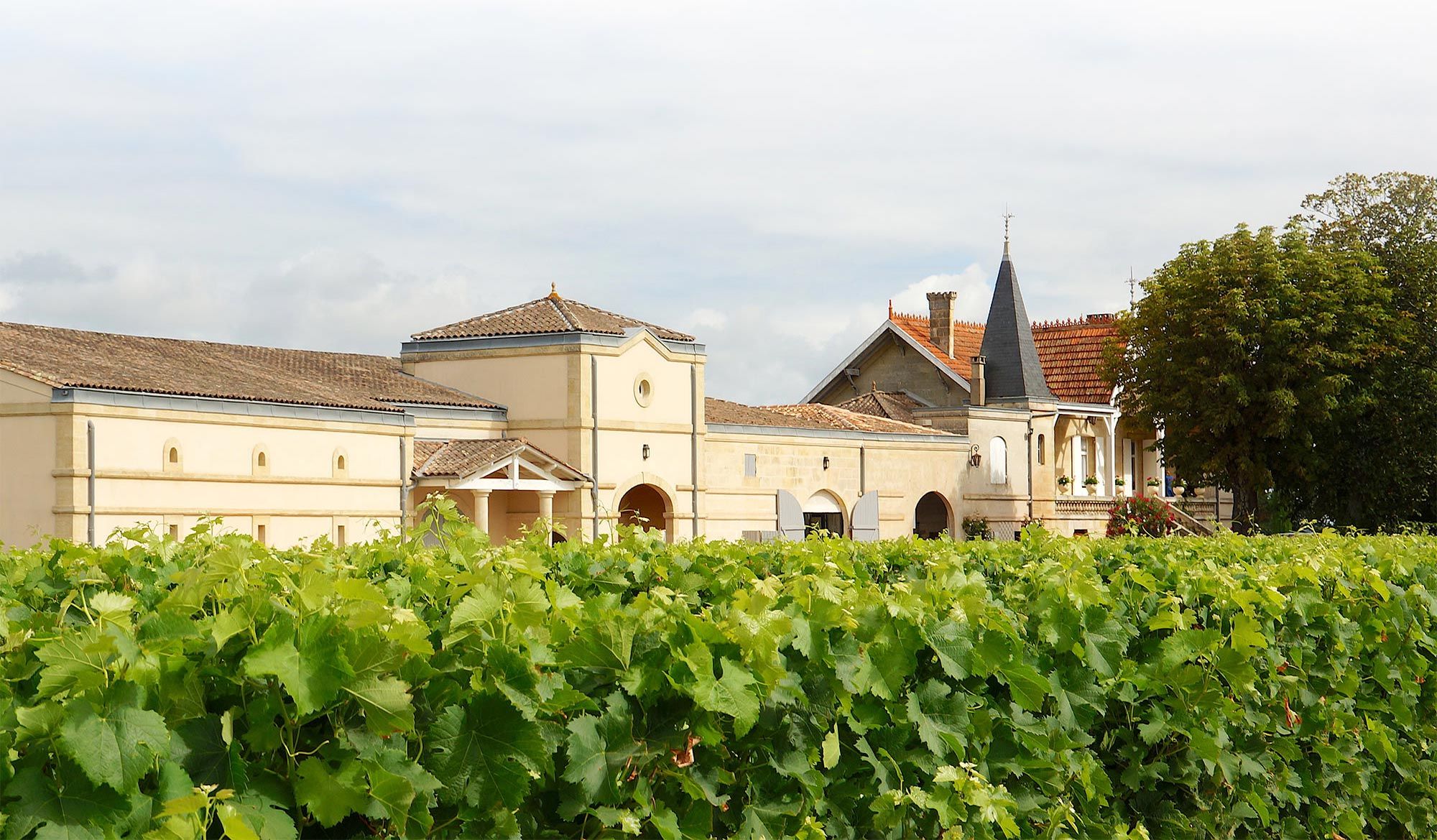 Château la Grâce Dieu — photo 4