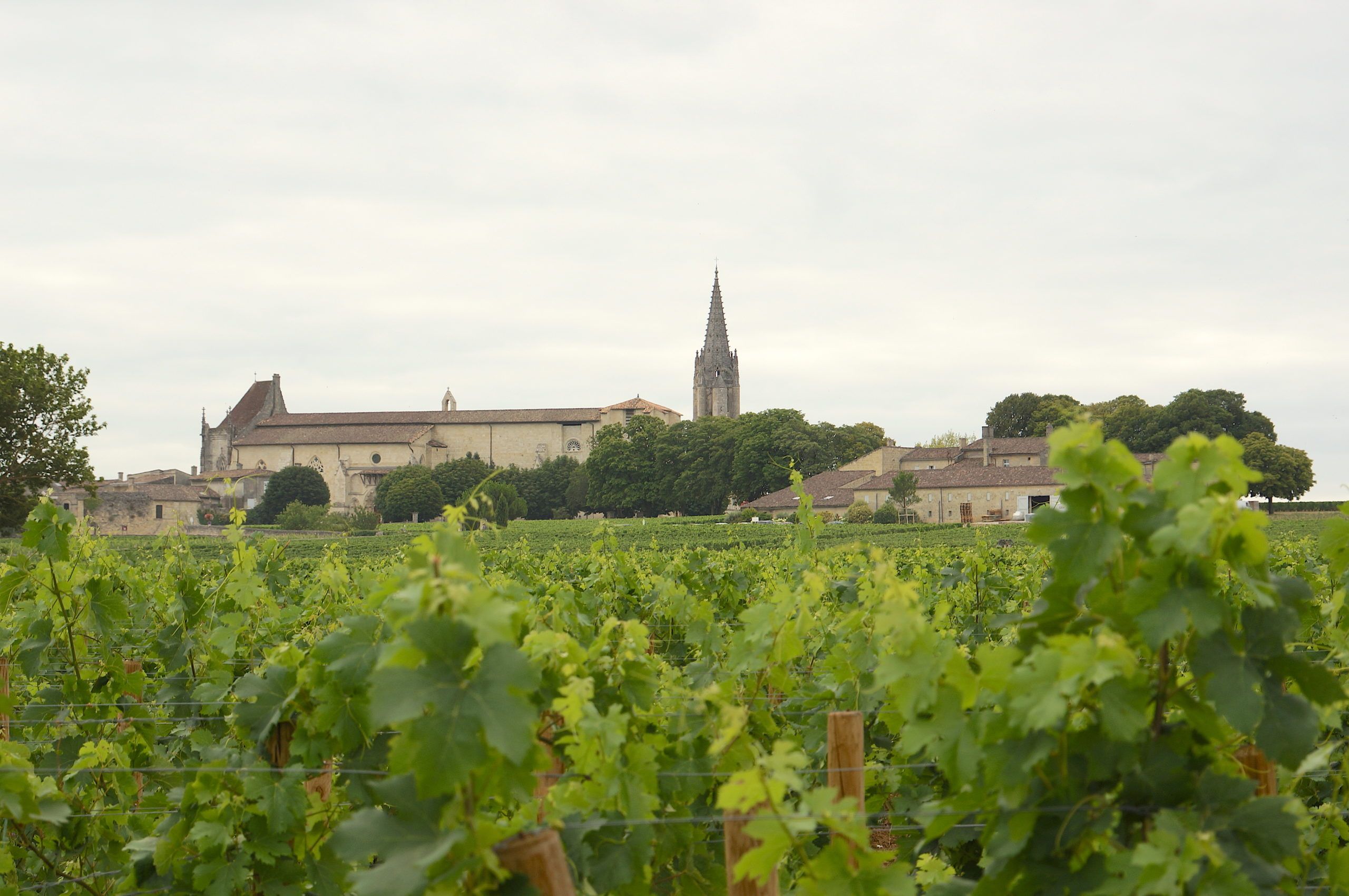 Château la Grâce Dieu - Saint-Émilion Grand Cru