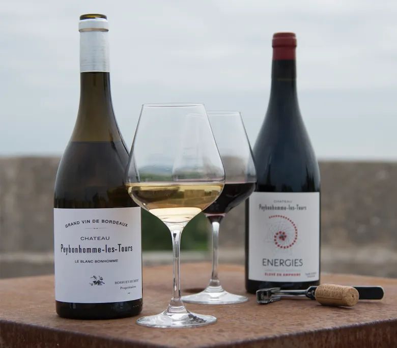Cuvées vignobles hubert blaye, vins biodynamiques bordeaux