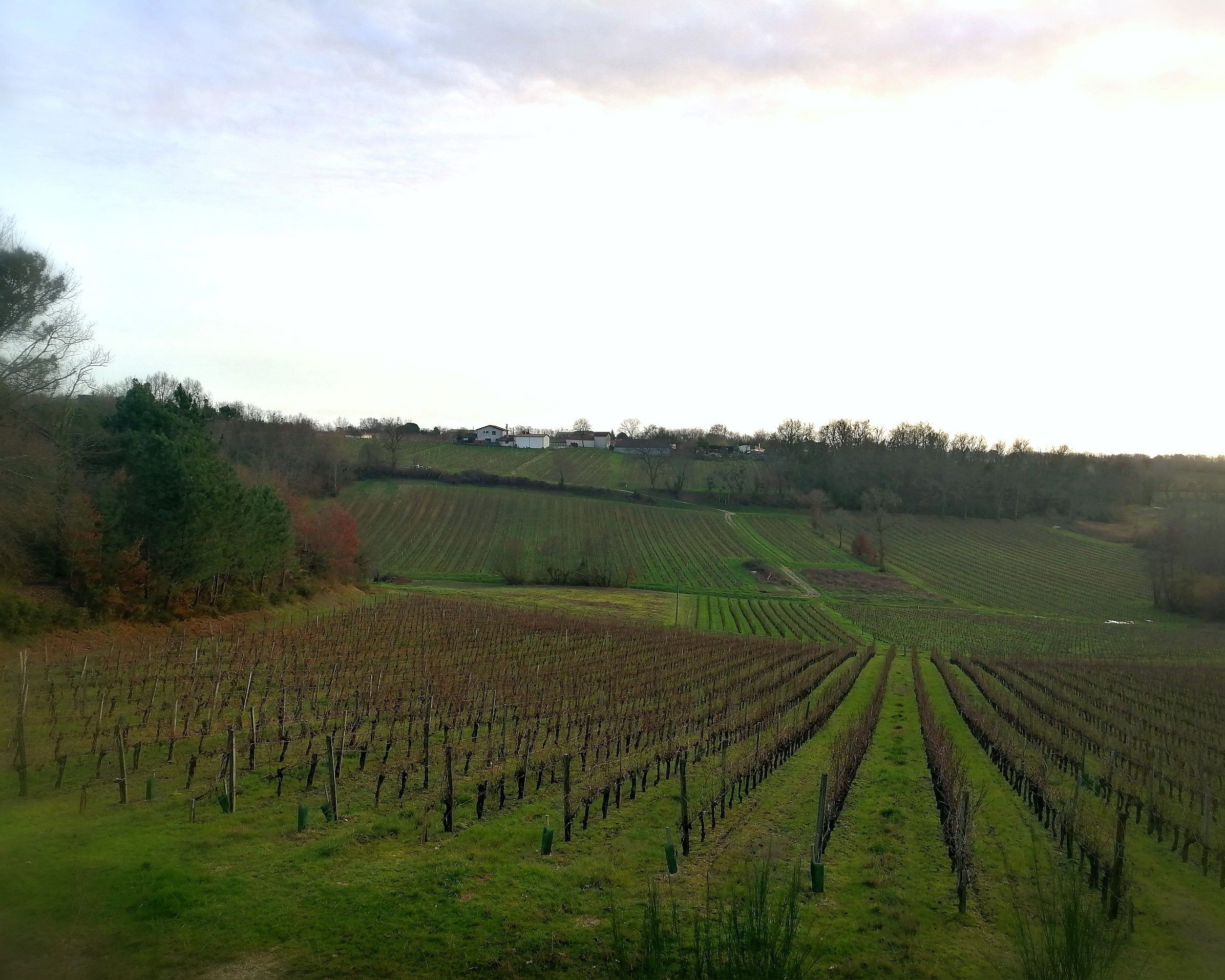 Château Guerry