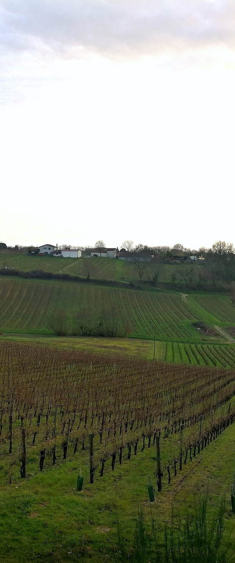 Château Guerry