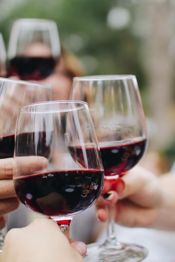 dégustation de vin rouge