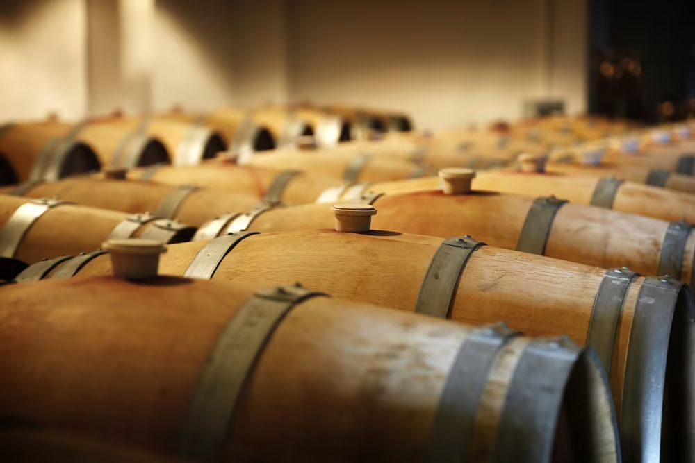 chais vignobles reboul salze