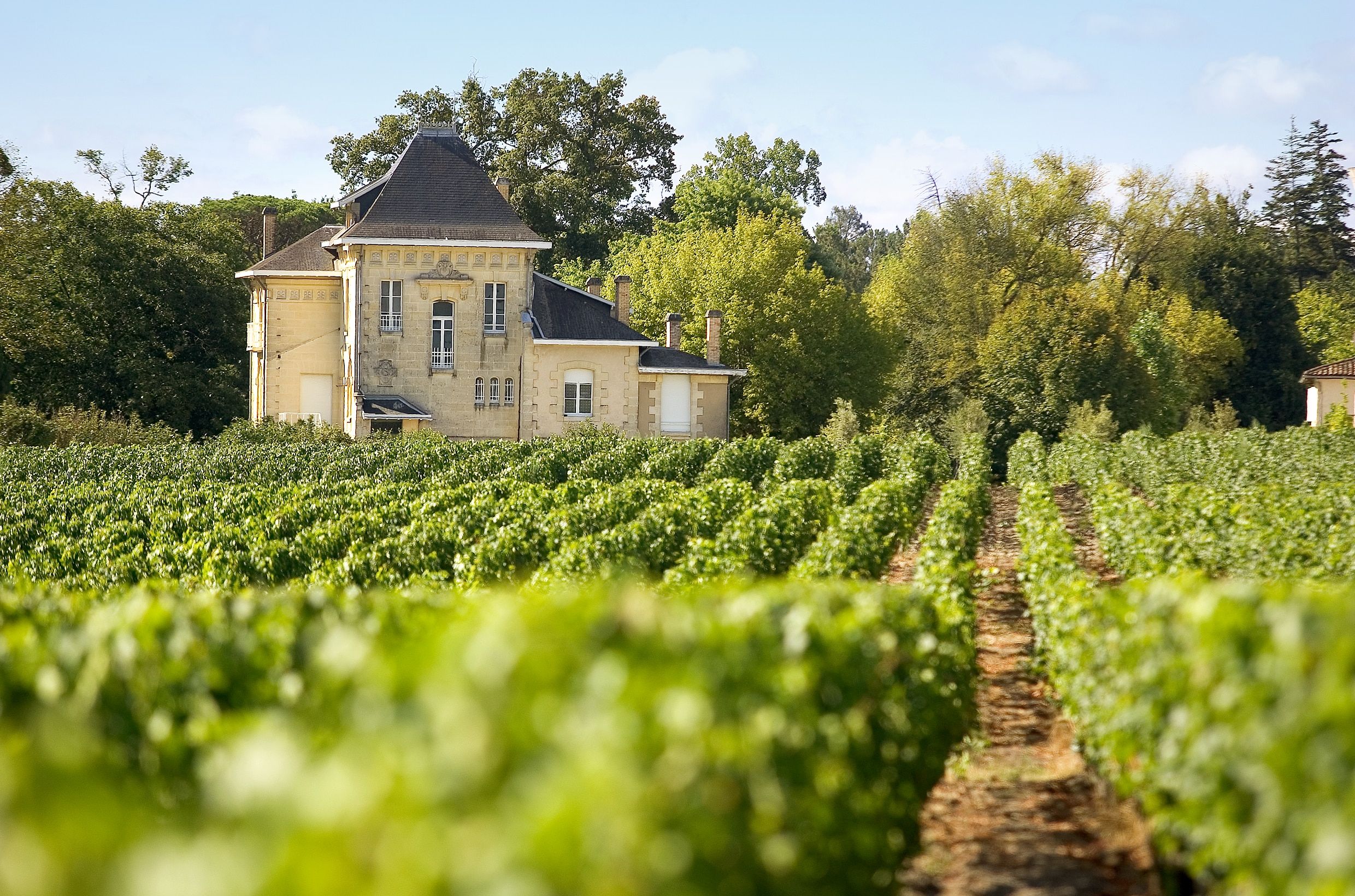 Château de Cruzeau — photo 1
