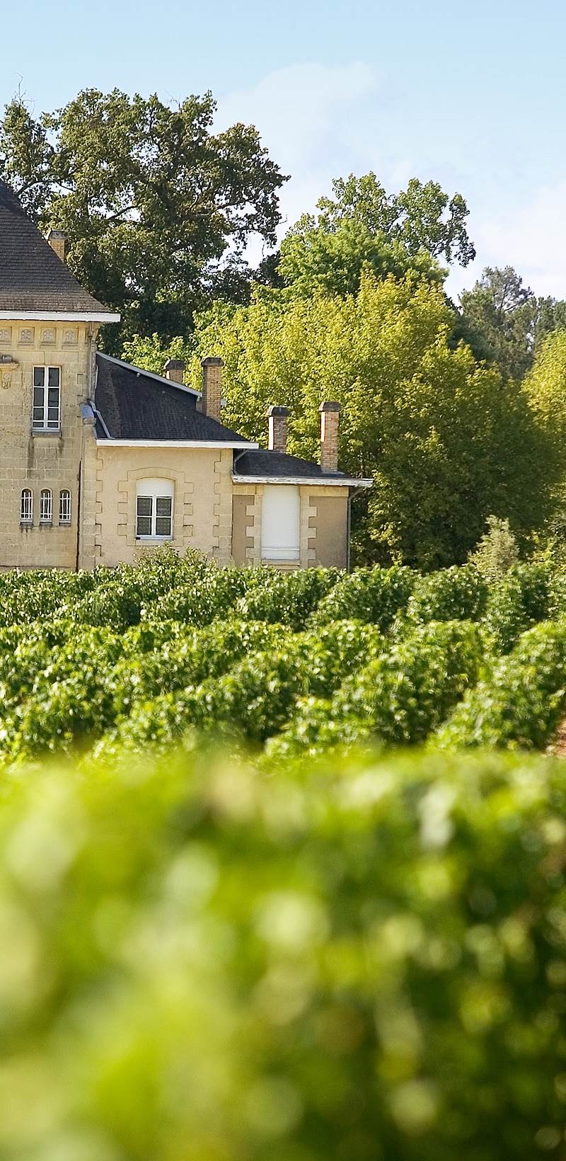 Château de Cruzeau — photo principale