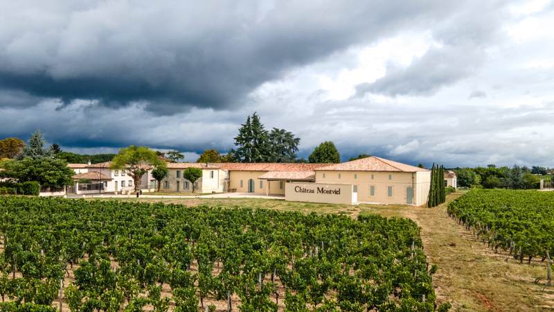 Château Montviel - Pomerol