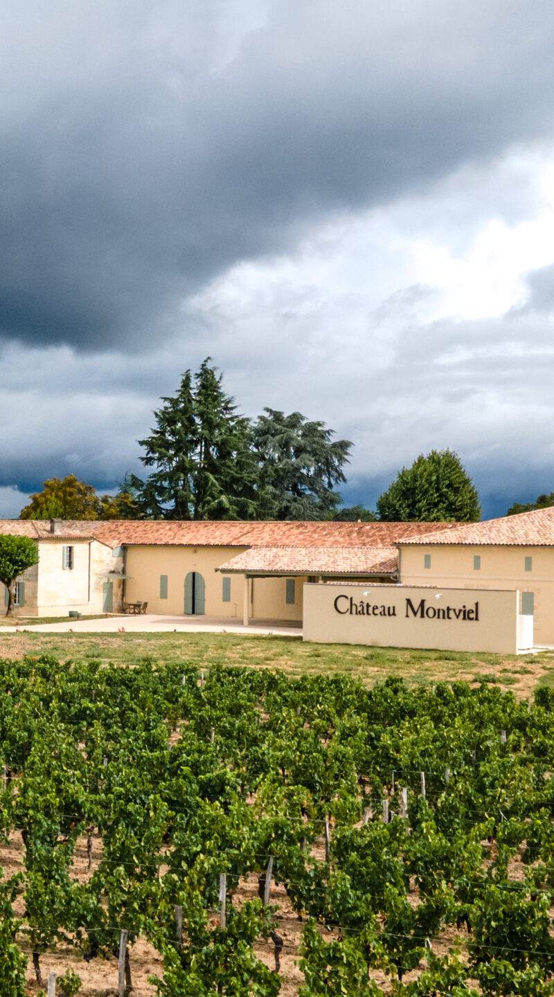 Château Montviel — photo principale