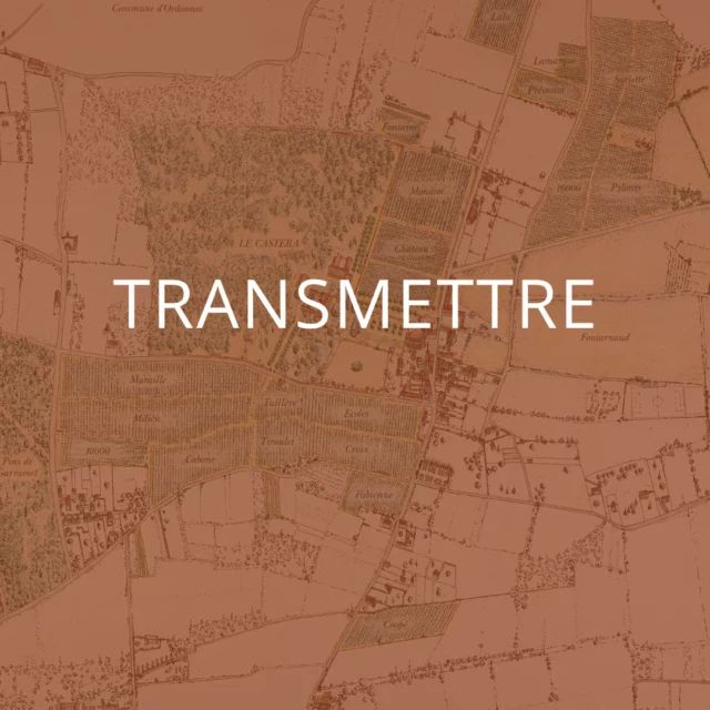 Photo — Château Castera
